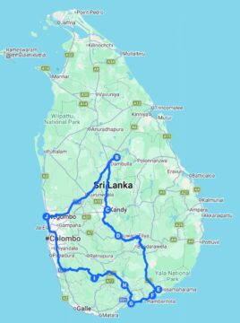 Birding with culture 